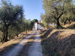 Da Poldino